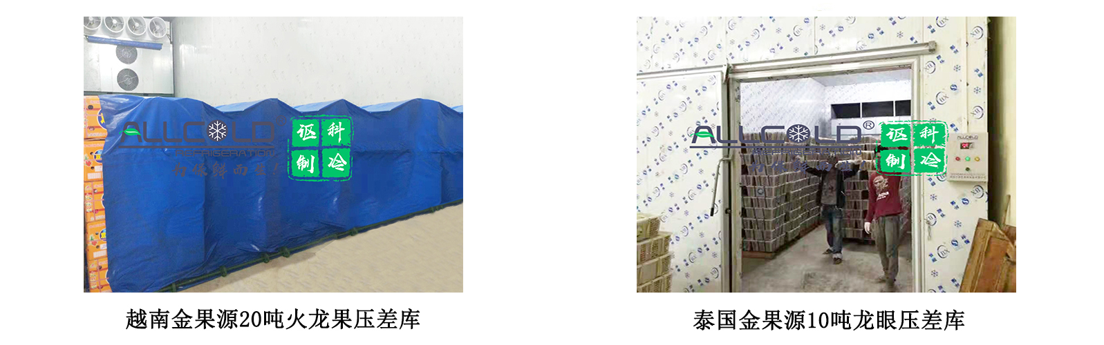壓差預冷催熟一體庫.jpg